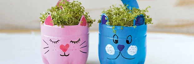 Zwei Blumentöpfe mit Kresse